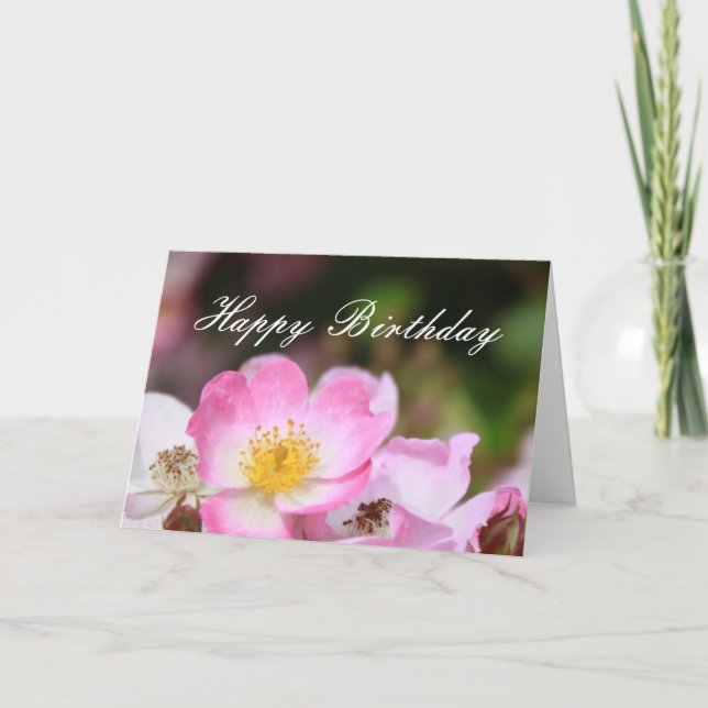 lovely pink wild rose flowers happy birthday card (Front)
