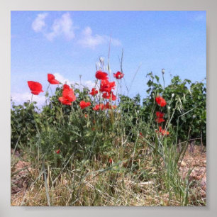 Lovely Poster of Red Poppies and Vines