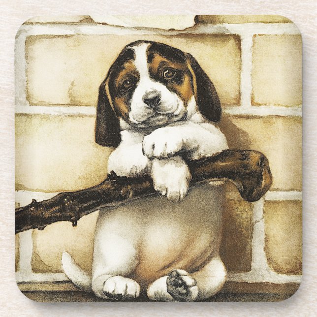 Lovely Puppy  Coaster (Front)