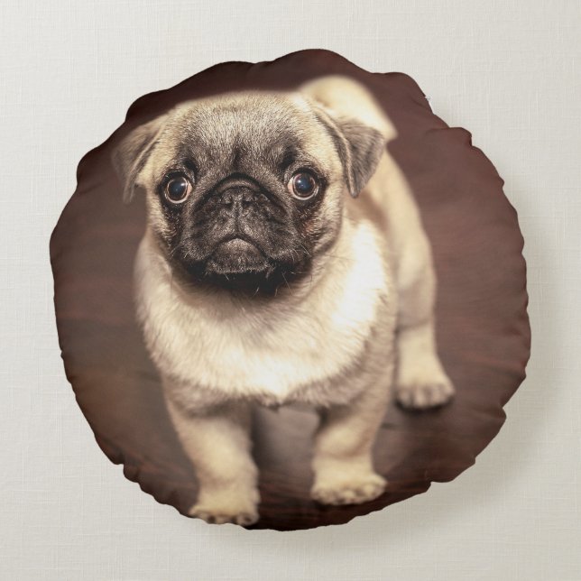 Lovely Puppy Pug, Dog, Pet, Animal Round Cushion (Back)