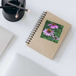 Lovely Purple Coneflowers Floral Square Sticker