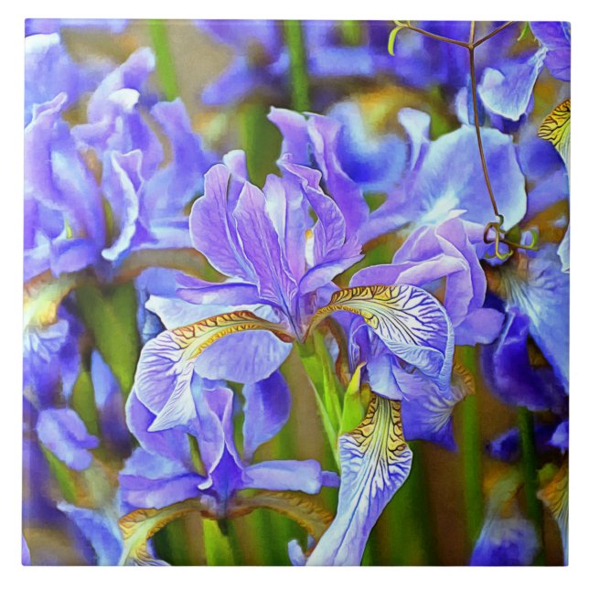 Lovely Purple Irises in May Ceramic Tile (Front)