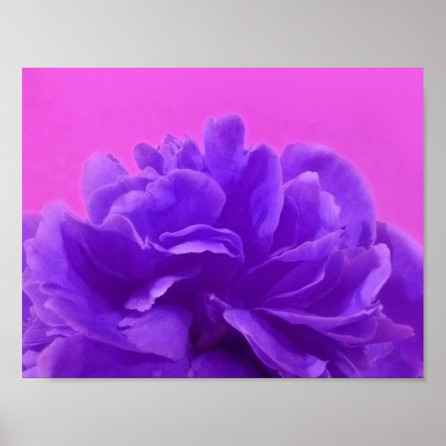 Lovely Purple Raspberry Floral Poster (Front)