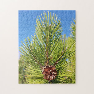 Lovely! Puzzle - Single Pine Cone in Tree