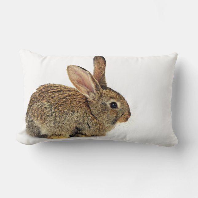 Lovely Rabbit Lumbar Cushion (Front)