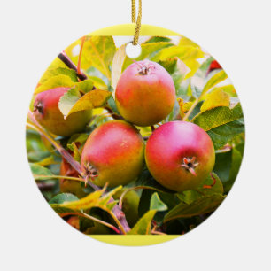 Lovely red apples ceramic ornament
