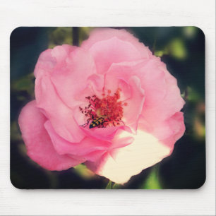 Lovely Rose Flower Photography  Mousepad