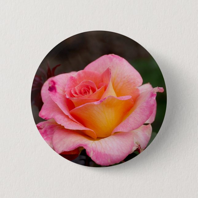 Lovely Rose Pin Button (Front)