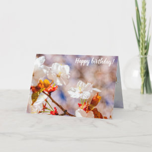 Lovely Sakura Flower On A Sunny Day Of Spring Card