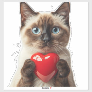 Lovely Siamese Cat With Heart For Cat Lovers 🐱