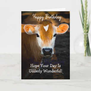 Lovely Sister Happy Birthday Card –Funny Cow Photo