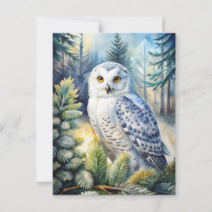 Lovely Snowy Owl Postcard