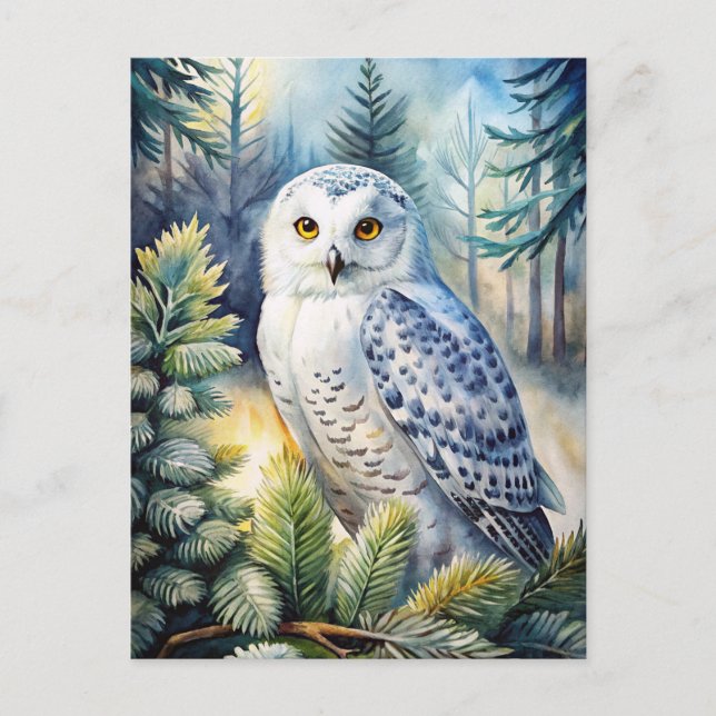 Lovely Snowy Owl Postcard (Front)