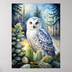 Lovely Snowy Owl Poster