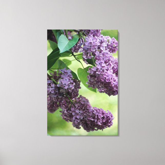 Lovely Spring Canvas Print (Front)