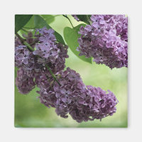 Lovely Spring Magnet