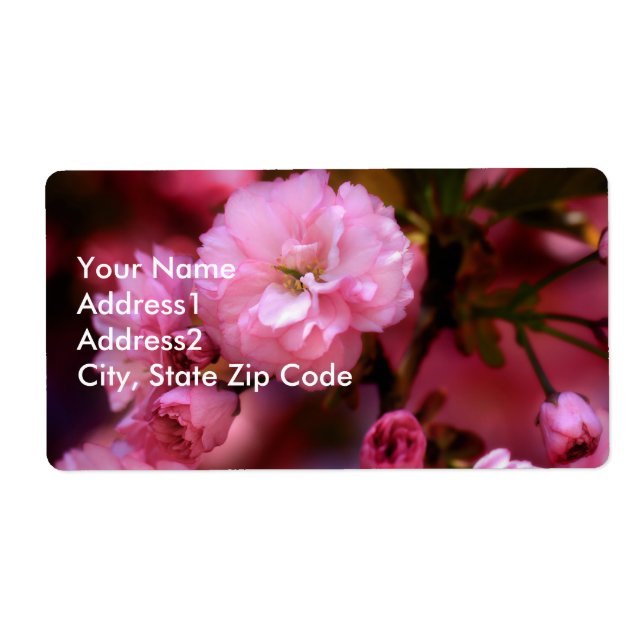 Lovely Spring Pink Cherry Blossoms (Front)