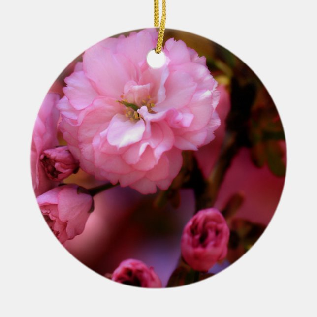 Lovely Spring Pink Cherry Blossoms Ceramic Tree Decoration (Front)