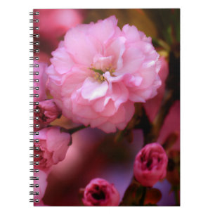 Lovely Spring Pink Cherry Blossoms Notebook
