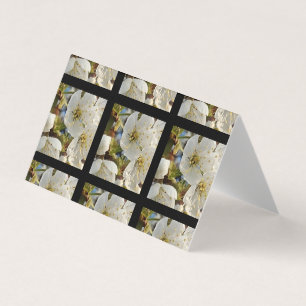 Lovely Springflower Grid