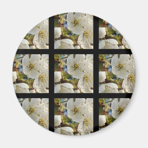 Lovely Springflower Grid Magnet