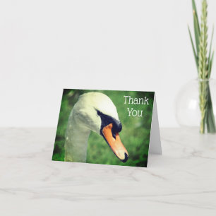 Lovely Swan Nature Thank You Card