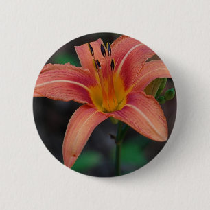 Lovely Tawny Daylily Apparel and Gifts 6 Cm Round Badge