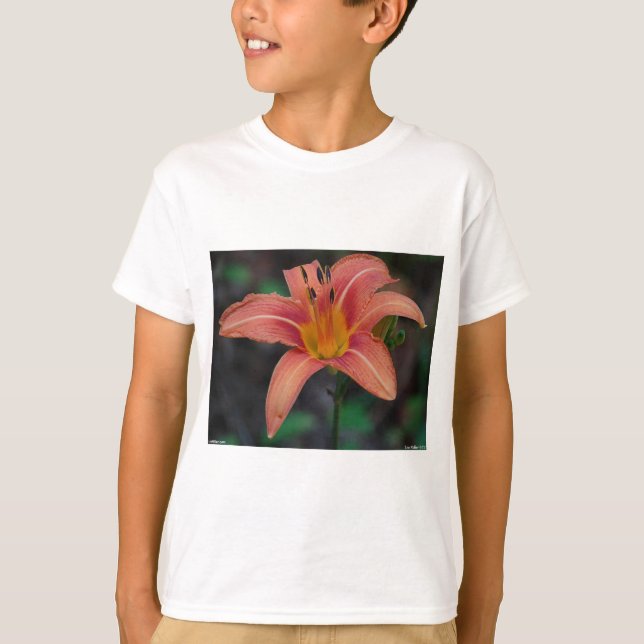 Lovely Tawny Daylily Apparel and Gifts T-Shirt (Front)
