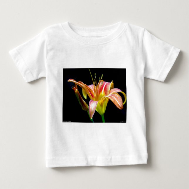 Lovely Tawny Daylily II Apparel and Gifts Baby T-Shirt (Front)