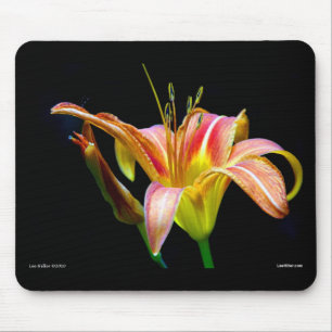 Lovely Tawny Daylily II Apparel and Gifts Mouse Pad