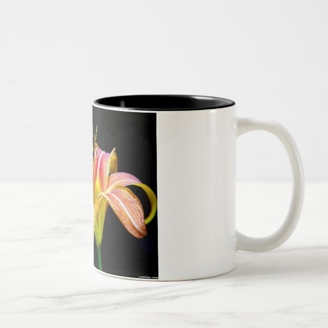 Lovely Tawny Daylily II Apparel and Gifts Two-Tone Coffee Mug (Right)