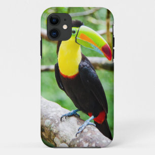 Lovely Toucan iPhone 11 Case