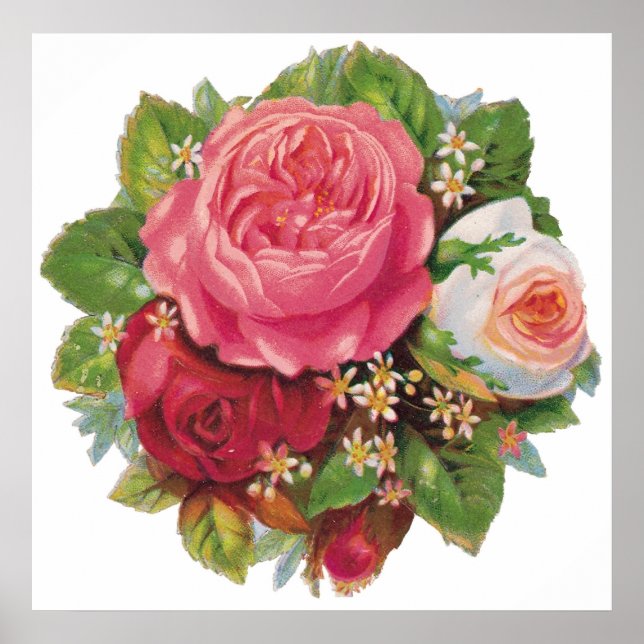 Lovely Vintage Roses Poster (Front)