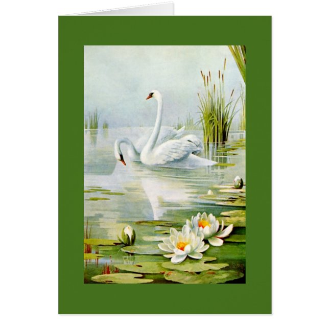 Lovely Vintage Swans (Front)