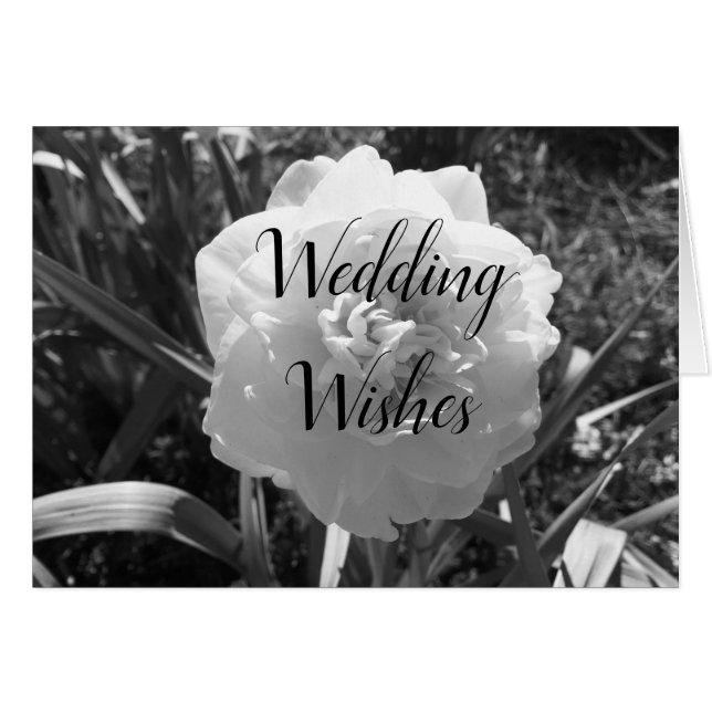 Lovely White daffodil wedding wishes (Front Horizontal)
