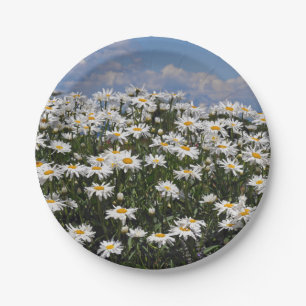 Lovely white daisy garden paper plate