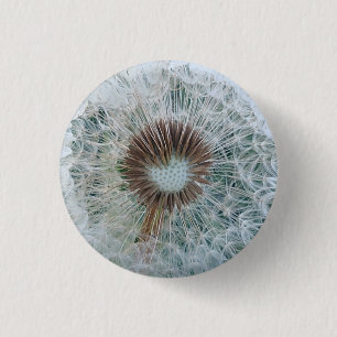 Lovely White Dandelion 3 Cm Round Badge