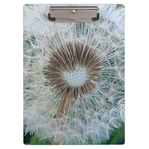 Lovely White Dandelion Clipboard