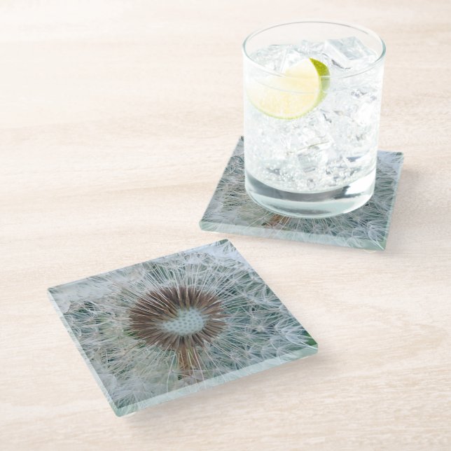 Lovely White Dandelion Glass Coaster (Angled)