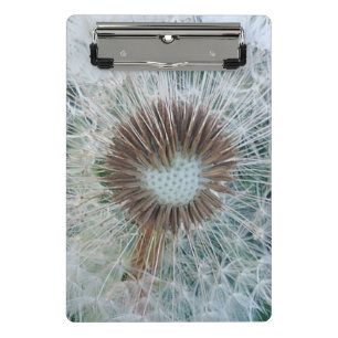 Lovely White Dandelion Mini Clipboard