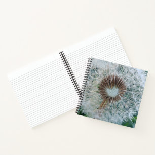 Lovely White Dandelion Notebook