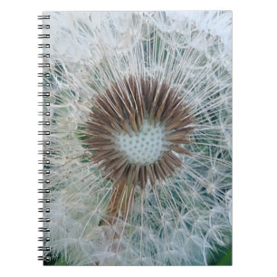 Lovely White Dandelion Notebook
