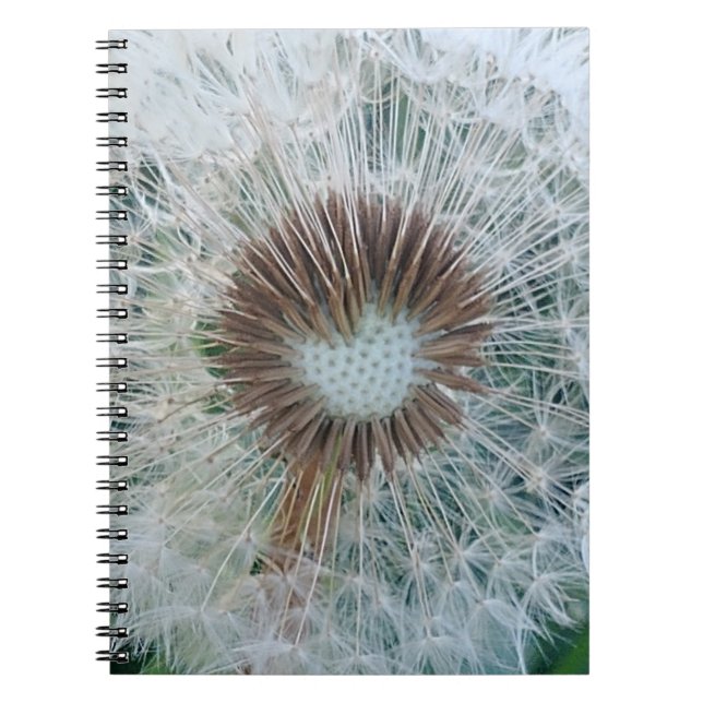 Lovely White Dandelion Notebook (Front)