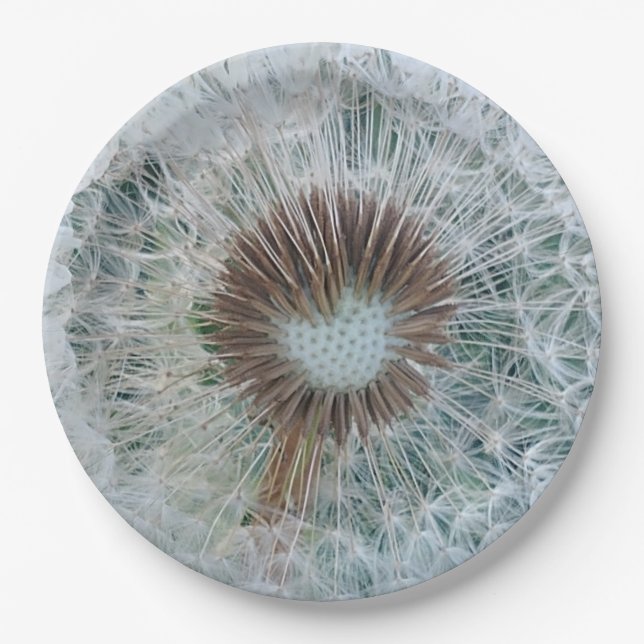 Lovely White Dandelion Paper Plate (Front)