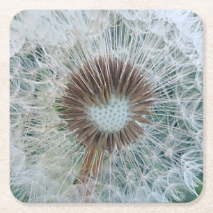 Lovely White Dandelion Square Paper Coaster