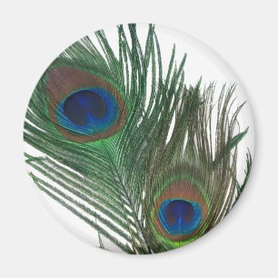Lovely White Peacock Feather Magnet