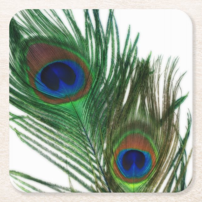Lovely White Peacock Square Paper Coaster (Front)