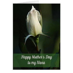 Lovely White Rosebud greeting card