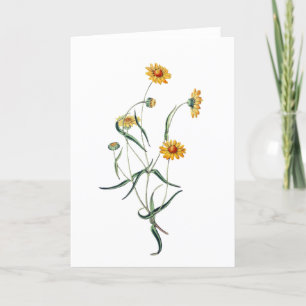 Lovely Yellow Daisies Wild Flowers Card