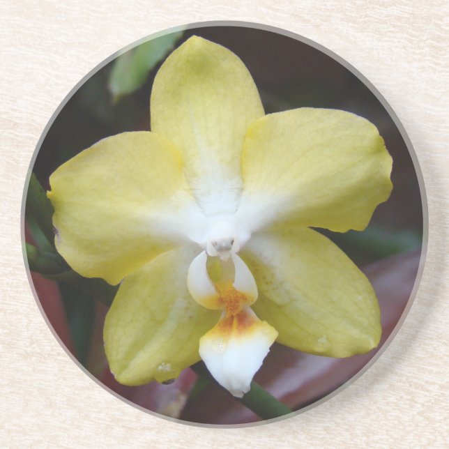 Lovely Yellow Orchid Coaster (Front)